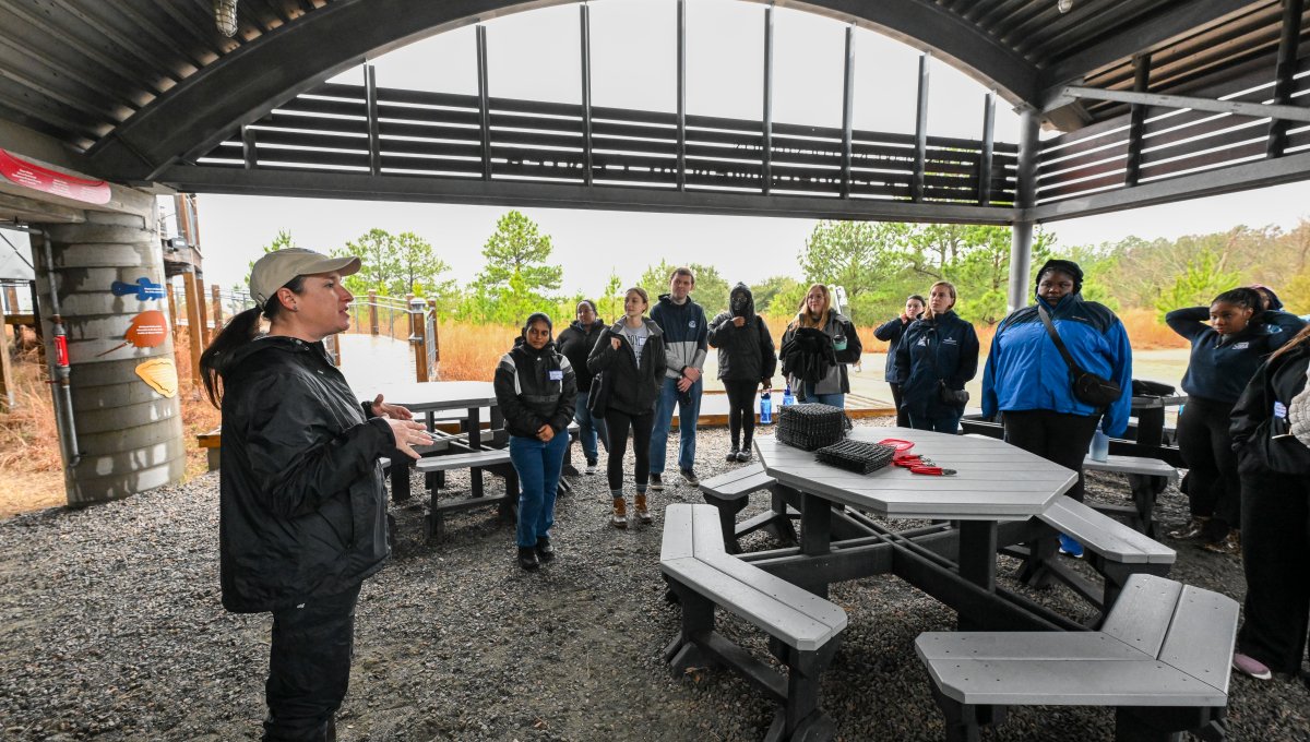 Alternative Spring Break Old Dominion University